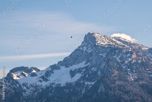 eagle over snow covered mountains