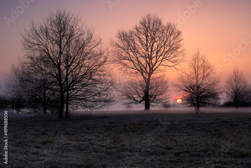 Wiosenne mgły na łąkach © Marek