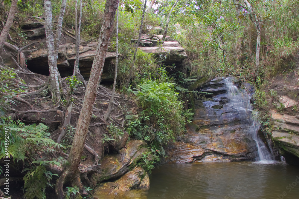 Sobradinho waterfall flowing into a small lake between the trees. Sobradinho waterfall flowing into a small lake between the trees.