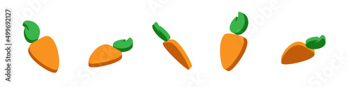 Set of isometric carrots. 3d carrot. Cartoon carrot isolated on white background. Vector clipart.