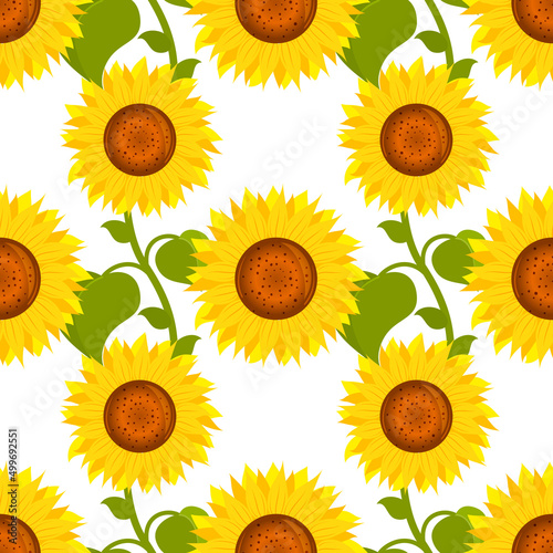 Sunflowers, bright floral pattern. Vector isolated on a white background.