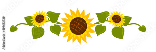 Sunflowers, decorative border. Vector isolated on a white background.