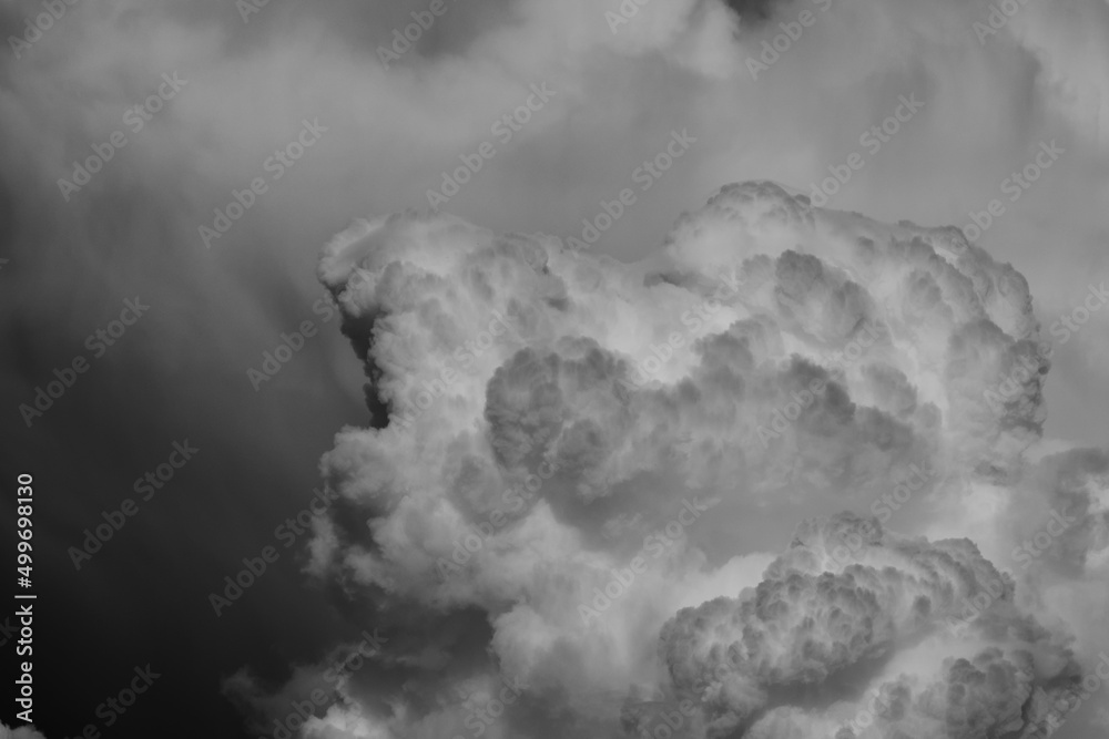 Naklejka premium dramatic black and white image of the top of a large cumulus cloud.