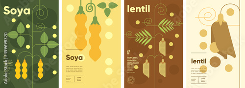 Lentil. Soya. Set of vector illustrations. Label design, price tag, cover design. Backgrounds and patterns.