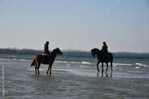 Reiterinnen an der Ostsee in Mecklenburg-Vorpommern