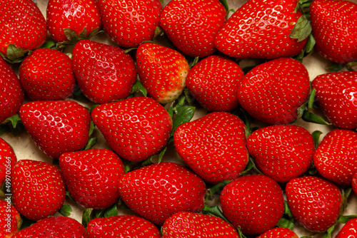 Strawberries fresh, ripe, whole, lie neatly in the box, freshly harvested strawberries, red berries, macro shot, flat lay, strawberry background, juicy organic seasonal from the market, spring