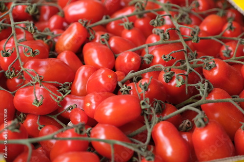 fresh tomatoes