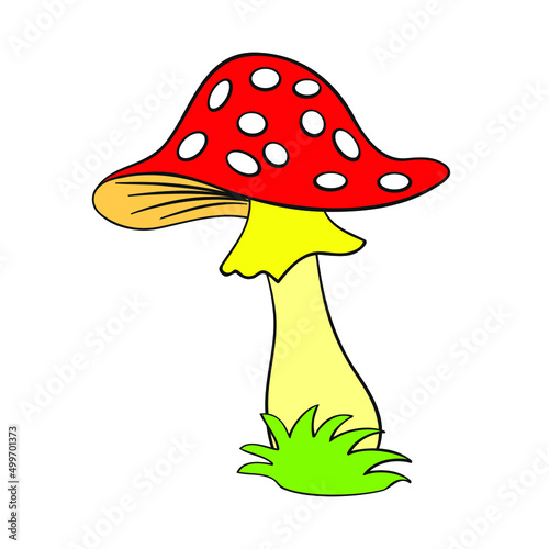 inedible amanita mushroom on isolated background, drawing, cartoon, on isolated background