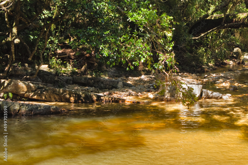rocky margin of a stream with crystal clear water, surrounded by exuberant vegetation. rocky margin of a stream with crystal clear water, surrounded by exuberant vegetation.