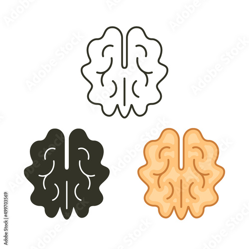 Walnut symbol icon set. Vector isolated nut illustration