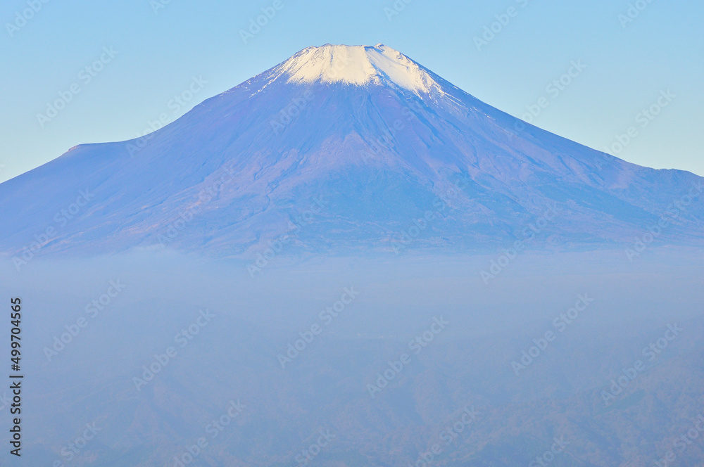 丹沢の檜洞丸より望む初冬の富士山
