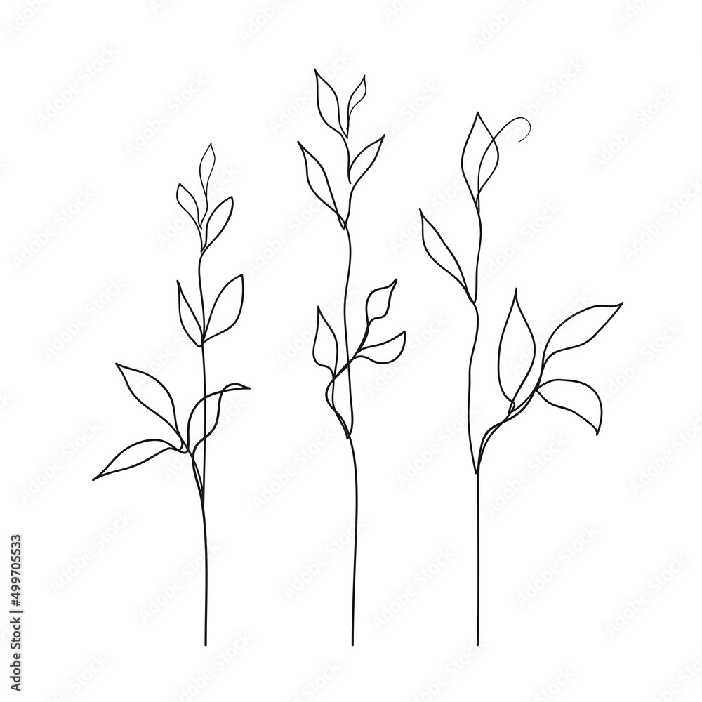 Fototapeta premium Herb line art collection. Abstract leaves continuous line drawing set. Botanical elegant vector illustration