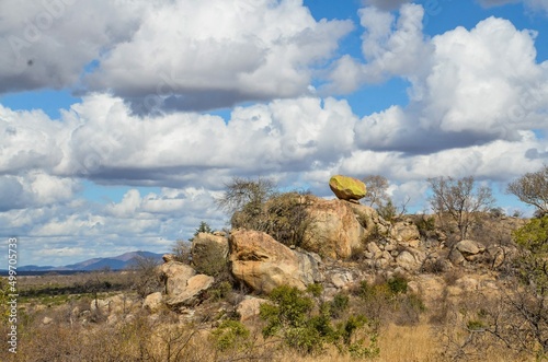 Kruger Safari