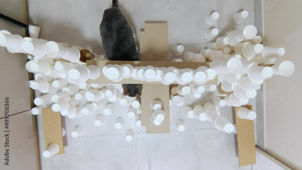 View from above. Footage of paper cup towers in corridor of apartment ...