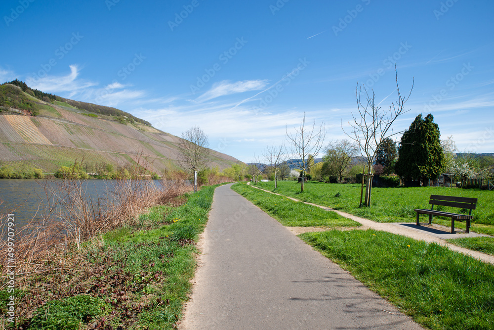 Landscape with the river Moselle and the vineyards close to Trier, rhine land palatine in Germany, way next to the riverbed