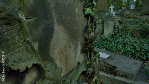 Close-up of ivy on a tombstone at the Lychakiv Cemetery in Lviv