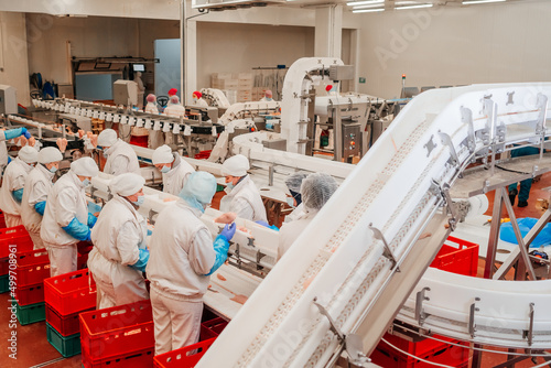 Modern poultry processing plant.Automated production line in modern food factory.Factory for the production of food from meat.Conveyor Belt Food.