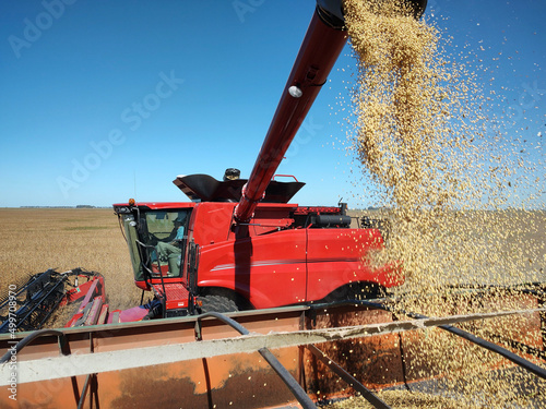 soybean harvest photo