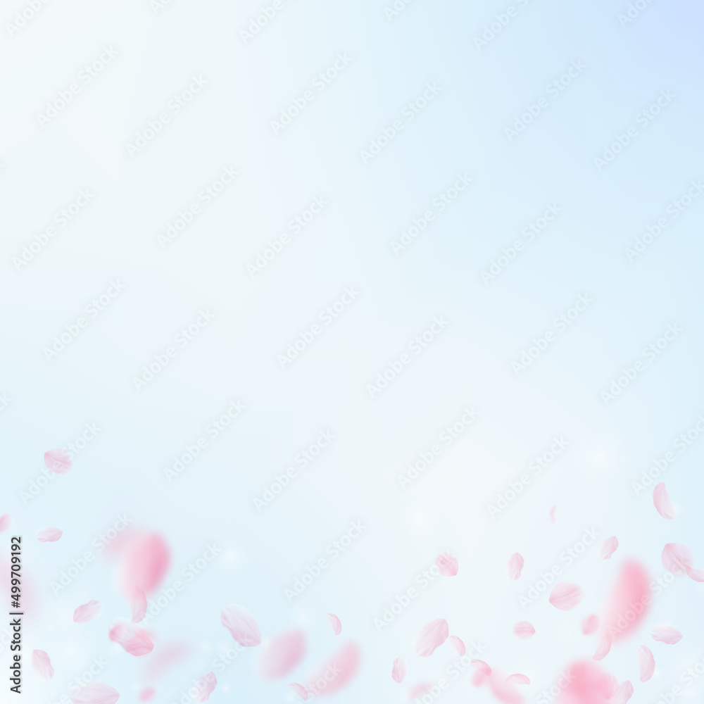 Sakura petals falling down. Romantic pink flowers gradient. Flying petals on blue sky square background. Love, romance concept. Alive wedding invitation. Sakura petals falling down. Romantic pink flowers gradient. Flying petals on blue sky square background. Love, romance concept. Alive wedding invitation.