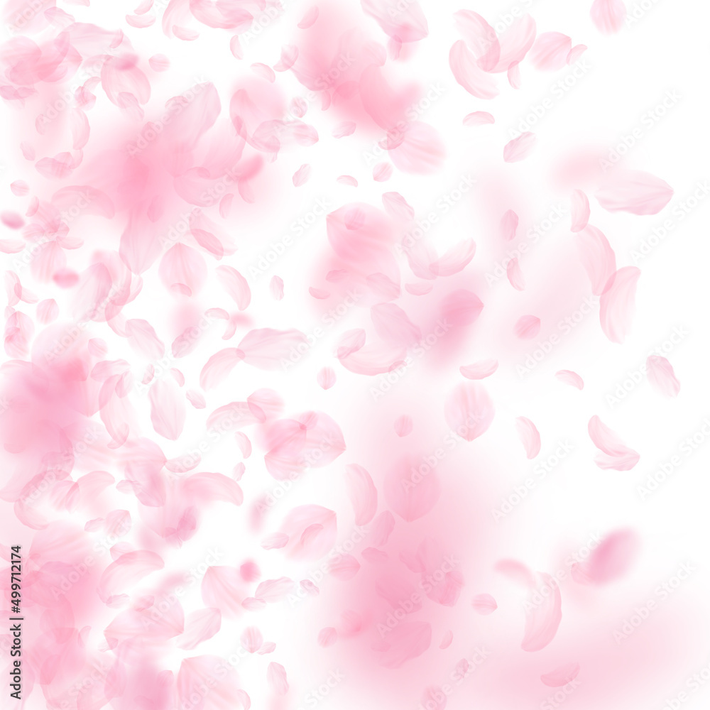 Sakura petals falling down. Romantic pink flowers gradient. Flying petals on white square background. Love, romance concept. Brilliant wedding invitation.