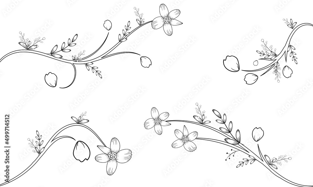 Coloring page | art floral elements graphic Sketch Floral Botany set.