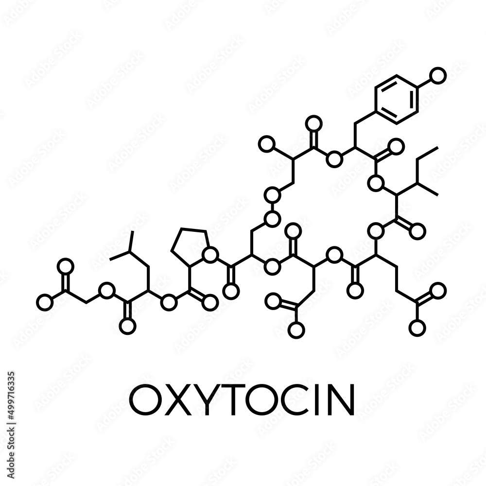 Vector thin line icon of oxytocin molecular structure. Chemical formula Vector thin line icon of oxytocin molecular structure. Chemical formula