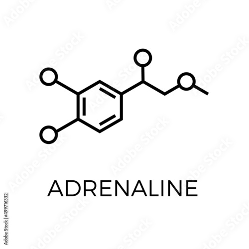 Vector thin line icon of adrenaline molecular structure. Chemical formula photo