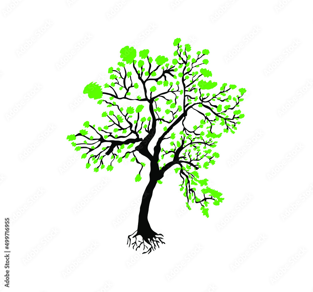 Silhouette of a tree with dense green leaves Silhouette of a tree with dense green leaves