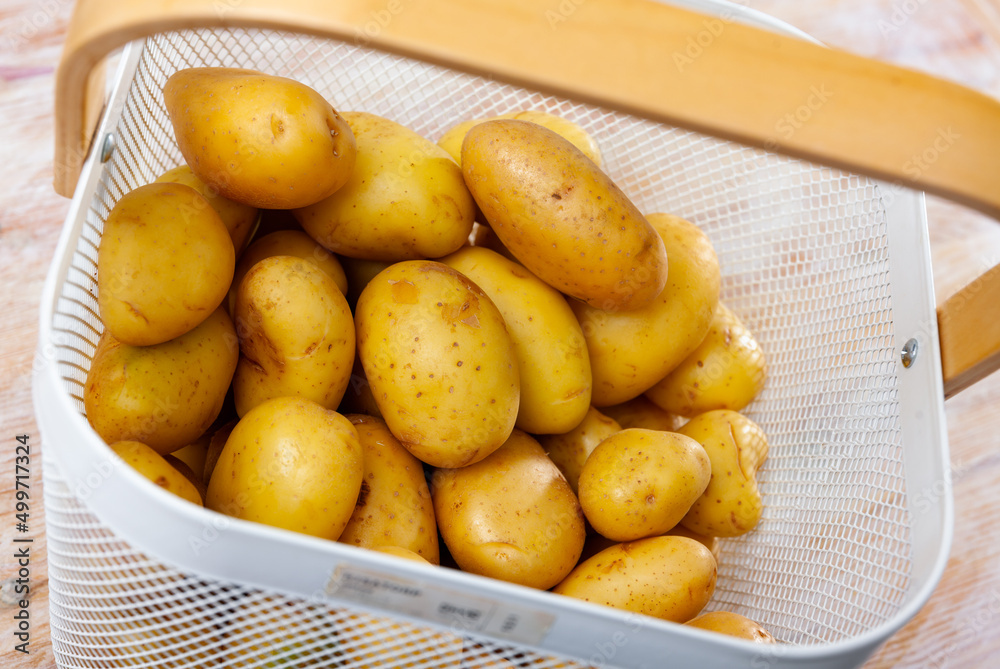 Closeup of fresh organic yellow potatoes in metal mesh basket on wooden surface. Rich harvest concept. Healthy vegetarian ingredient