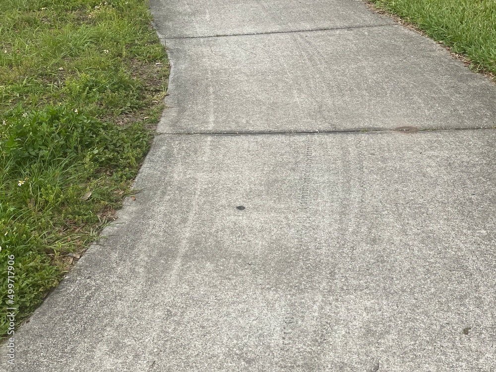 road in a park