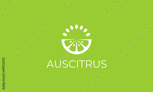 vector graphic illustration logo design for simple logogram pictogram australia citrus in fresh green color