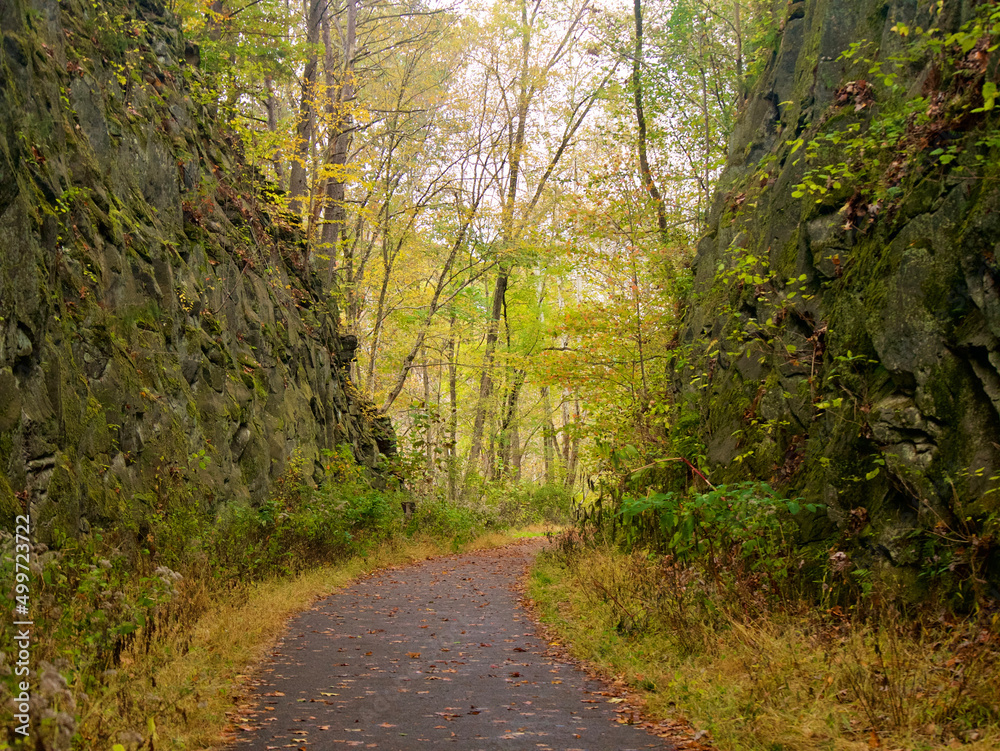 Naklejka premium Walking path through a gorge in fall