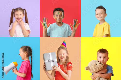 Collage with cute funny chi...