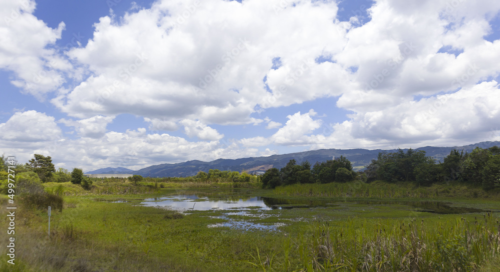 wetland in south america with mountains