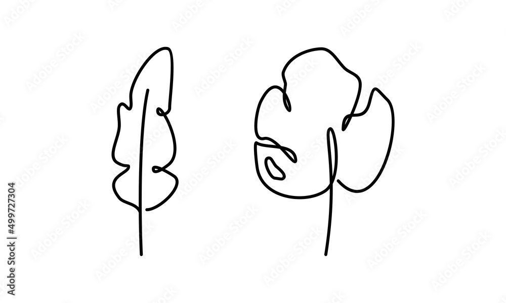 monstera leaf and banana leaf line art. minimalist, decoration. monstera leaf and banana leaf line art. minimalist, decoration.
