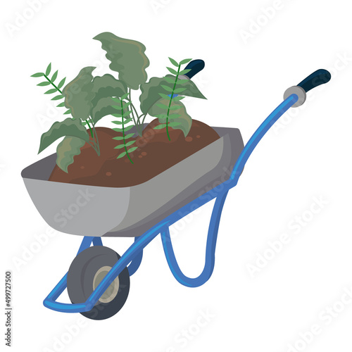 wheelbarrow with plants