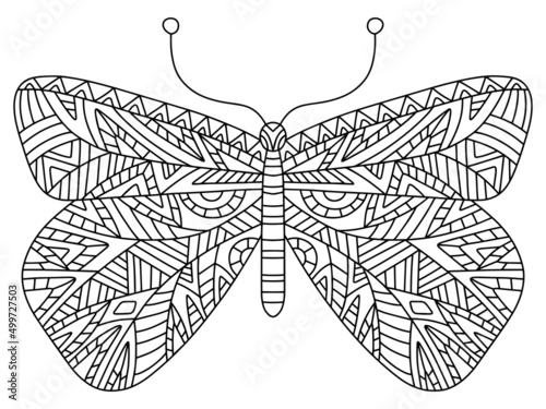 Decorative geometry hand-drawn butterfly colouring page vector illustration. Fantasy insect colouring page for adults vector. Decorative black print isolated on white background