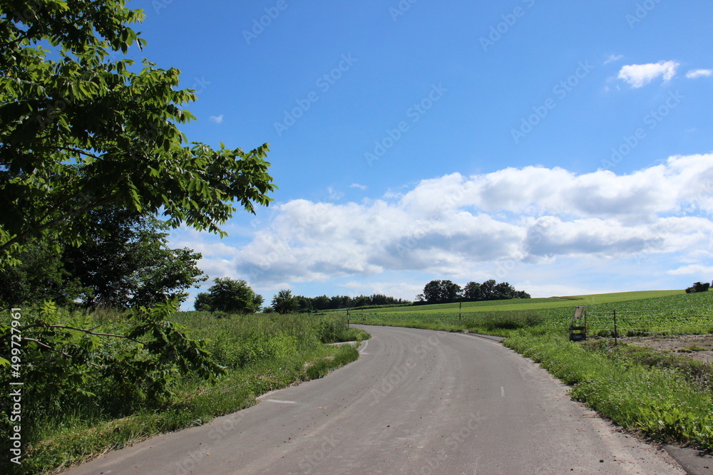 青空と畑作地帯のアスファルトの道路
