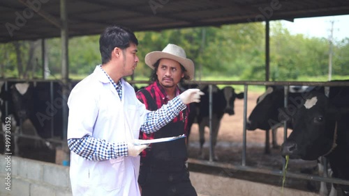 The cattle farm veterinarian is explaining the job to the cattle rancher.