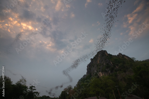 bats and clouds over the mountains in netural park thailand photo