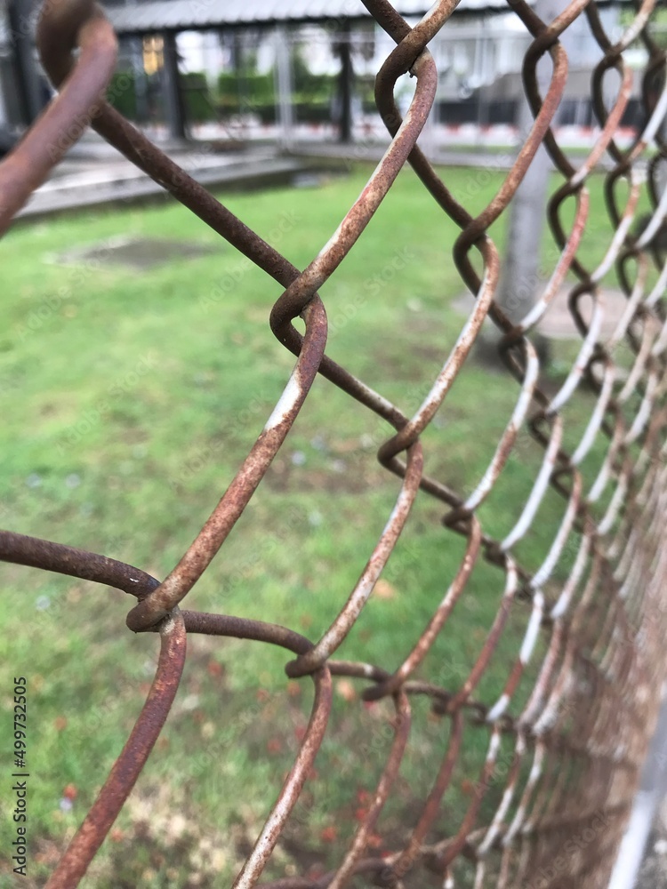 Steel wire mesh to block boundaries as a fence. Divide the boundaries of the area with a fence.