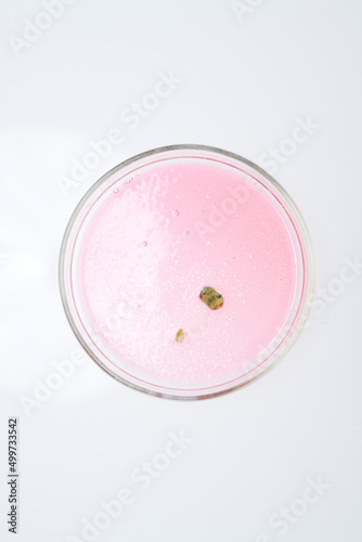 Above view of petri dish containing piece of mold grown in pink substance in chemical laboratory for new experiment