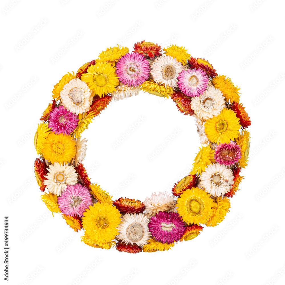Colourful wreath of straw flower