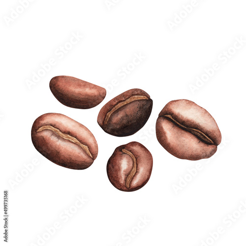 Coffee brown roasted beans set isolated on white. Watercolor hand drawn llustration. Art for design, textiles, menu,card