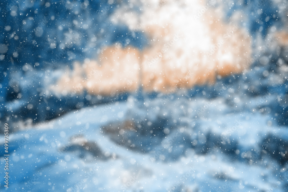 Obraz premium blurred winter forest