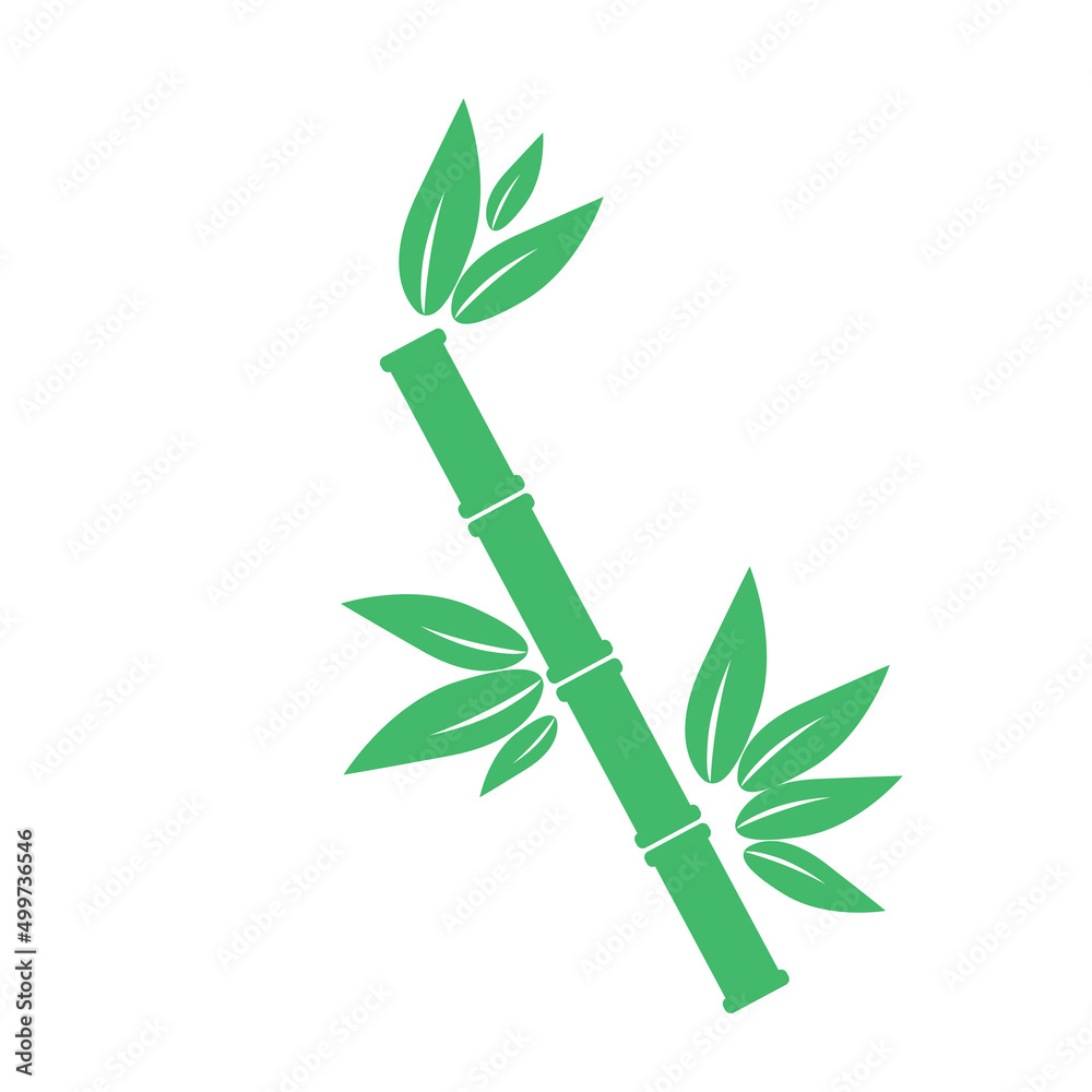 Fototapeta premium Green bamboo branches and leaves.