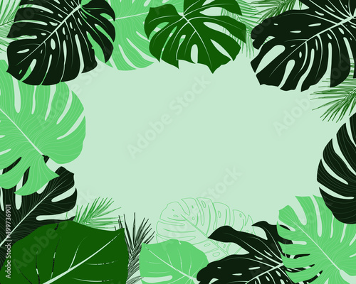 Plant of philodendron, monstera. element Different botanical foliage green nature botany tropical jungle leaves seamless floral pattern background. vector for summer decoration design with copy space.