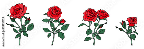 薔薇の花　セット