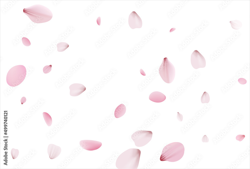 Sakura background, cherry vector background