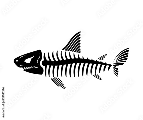 Shark skeleton isolated. Shark skull. Vector illustration